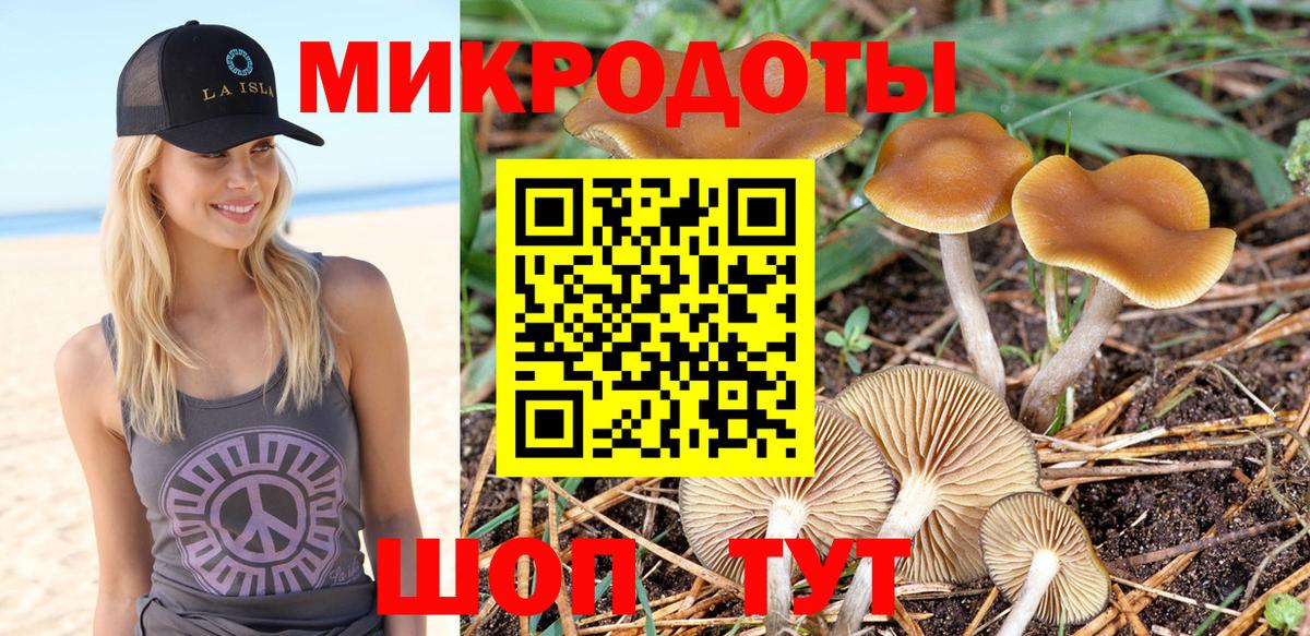 Буйнакск  Галлюциногенные грибы мухоморы  Вход с VPN 