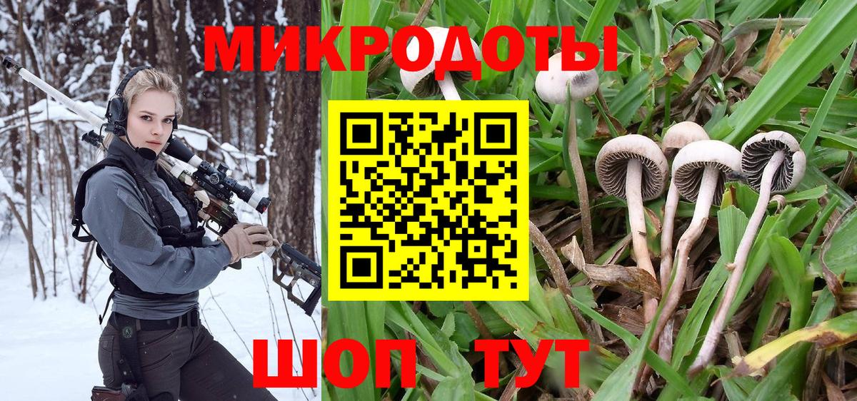 Псилоцибиновые грибы прущие грибы Буйнакск